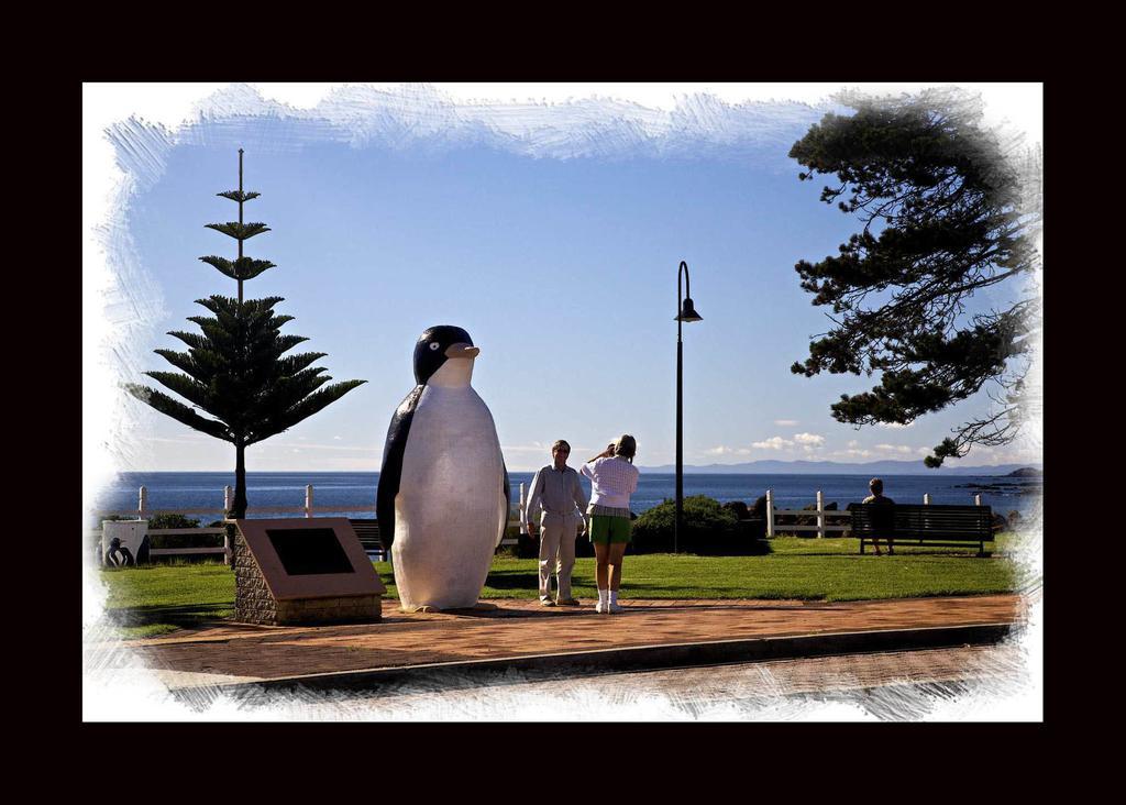 Penguin Beachfront Apartments Екстер'єр фото